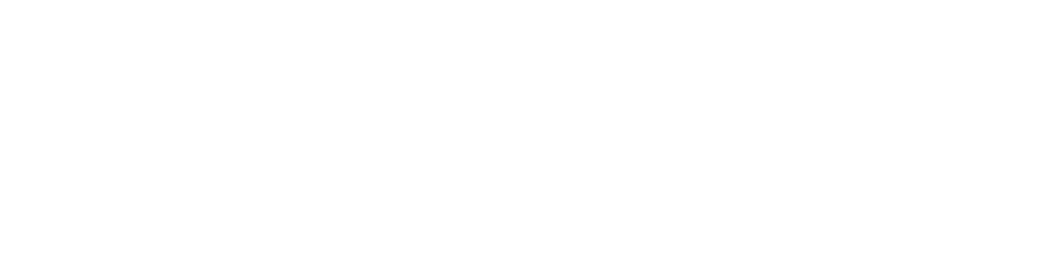 Texas Pen & Pixels